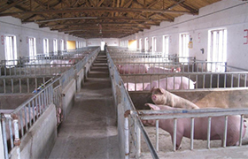 養殖場污水處理