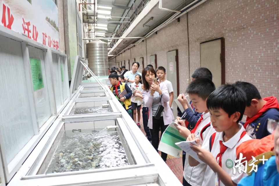 學(xué)生參觀 學(xué)生參觀